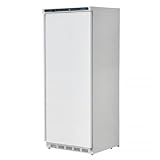 ICESHOP Armoire réfrigérée positive 600 Litres - Professionnelle - 770 x 710 x 1900mm - GK60, Blanc