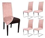BEAUTEX LEA Lot de 4 housses de chaise élastiques unies en velours microfibre Couleur au choix (vieux rose clair)