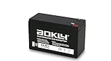 Aokly Power Batterie de Plomb AGM 12 V- 7 Ah/Modèle 6FM7