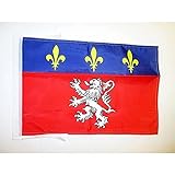 AZ FLAG Drapeau Province du Lyonnais 45x30cm - PAVILLON de Lyon 30 x 45 cm Haute qualité
