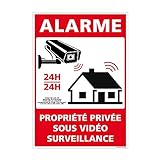 Panneau de Sécurité Alarme - Propriété Privée sous Vidéo Surveillance 24h/24h. Alarme de vidéo Surveillance, avec Articles de Loi sur la Protection de la Vie privée - 150 x 210 mm, Adhésif