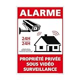 Panneau de Sécurité Alarme - Propriété Privée sous Vidéo Surveillance 24h/24h. Alarme de vidéo Surveillance, avec Articles de Loi sur la Protection de la Vie privée - 105 x 150 mm, Adhésif