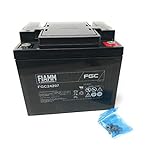 FIAMM Batterie au Plomb Rechargeable FGC24207 (pour Applications cycliques)