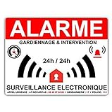 Stickers Alarme Maison-Surveillance electronique- 8 x 6 cm