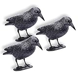 Schramm® 3 pièces Corbeaux Assis Peur des Pigeons Noirs Peur des Oiseaux Corbeau en Plastique défense des Pigeons