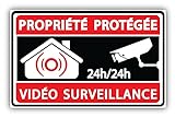 Autocollant | Propriété protégée Vidéo surveillance | Sécurité, Maison, Alarme | Dimension : 8cm x 5cm.