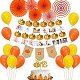 Décorations d'anniversaire 1er petit potiron avec citrouille Photo bannière, un gâteau, bannière chaise haute, fans de papier orange